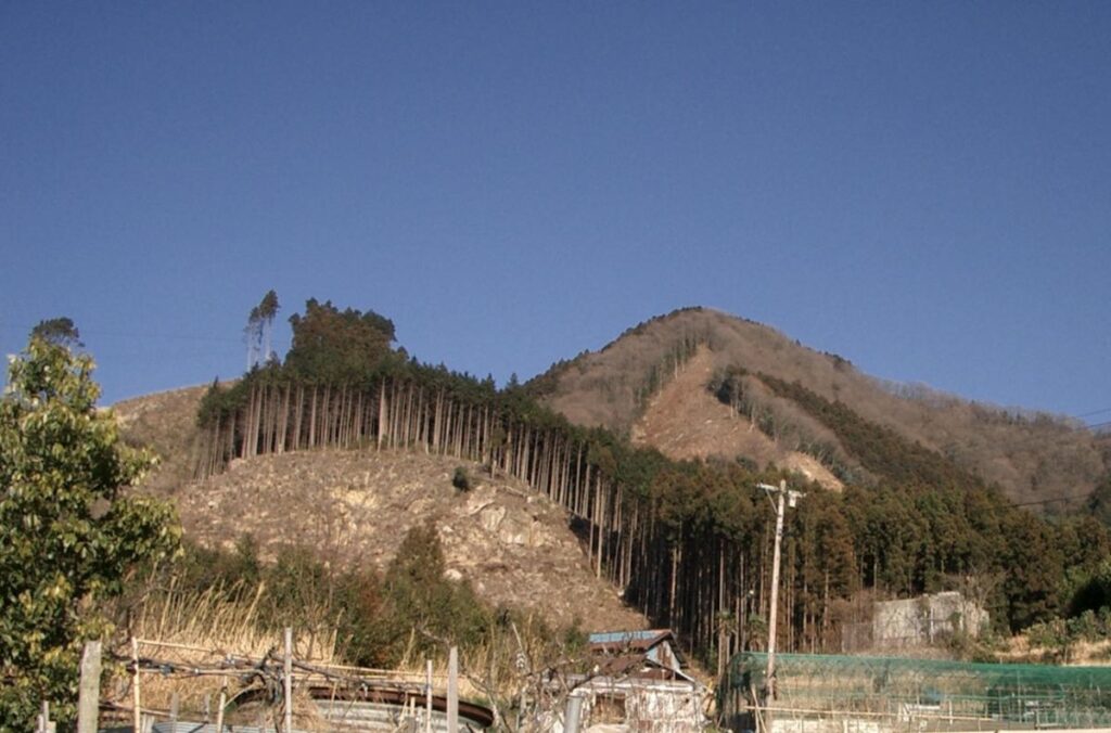 Kawauchi Millennium Forest：At the time of purchase