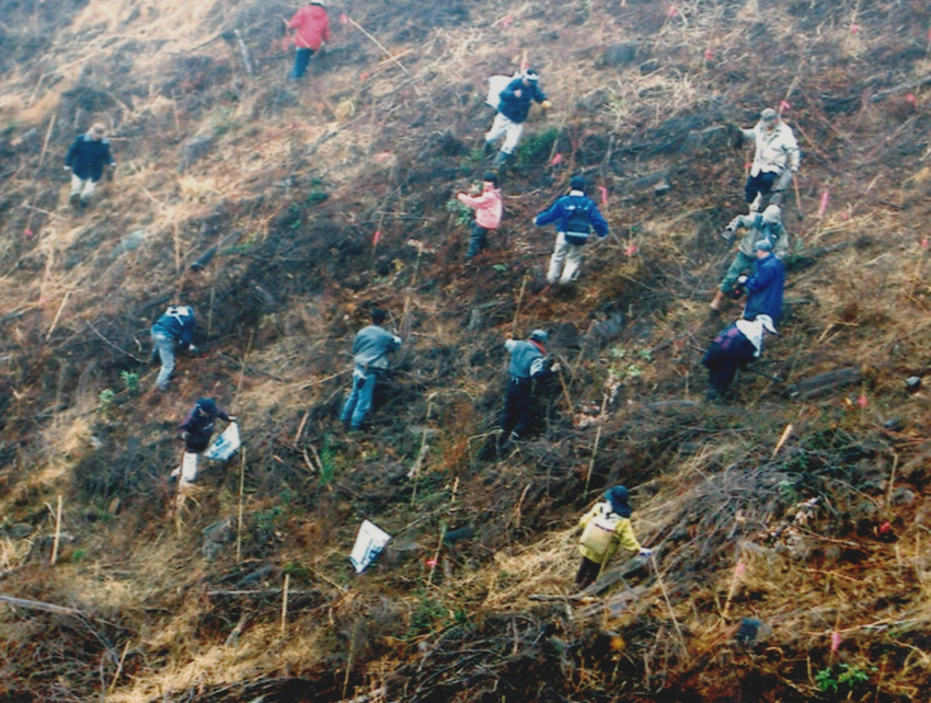 Forestation at　Chihara Millennium　Forest, Year 2003