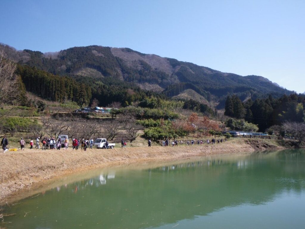 Entering the forest together