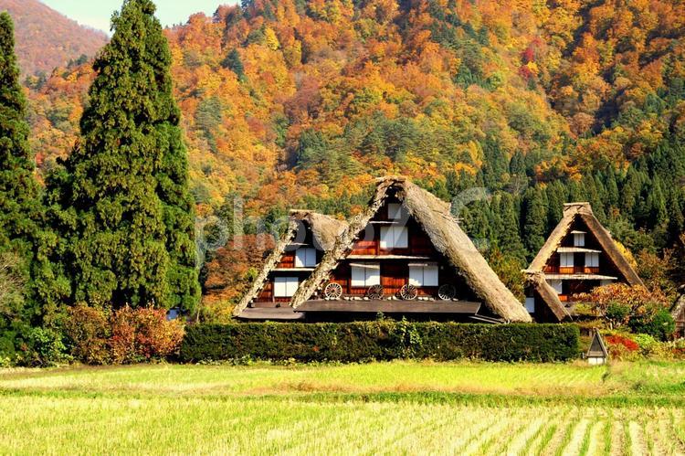 Shirakawa-go、the UNESCO World Heritage