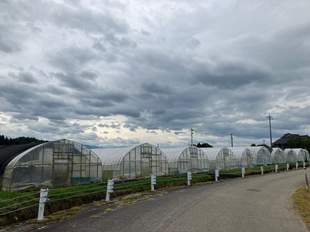 Greenhouses at Happy Farm