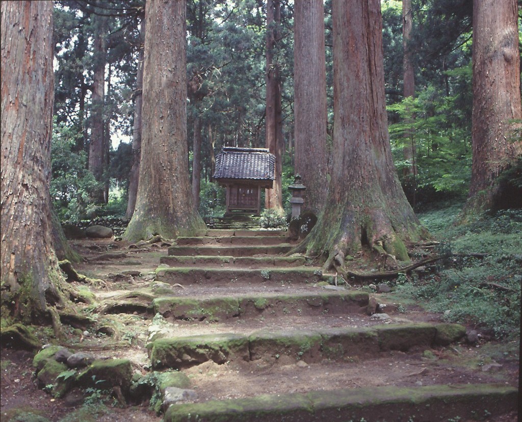 Main prayer hall (Ōmiya Shaden) of the Chūgū precinct of Oyama Shrine