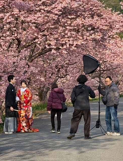 Newlyweds taking commemorative photographs
beneath the early spring blossoms.
